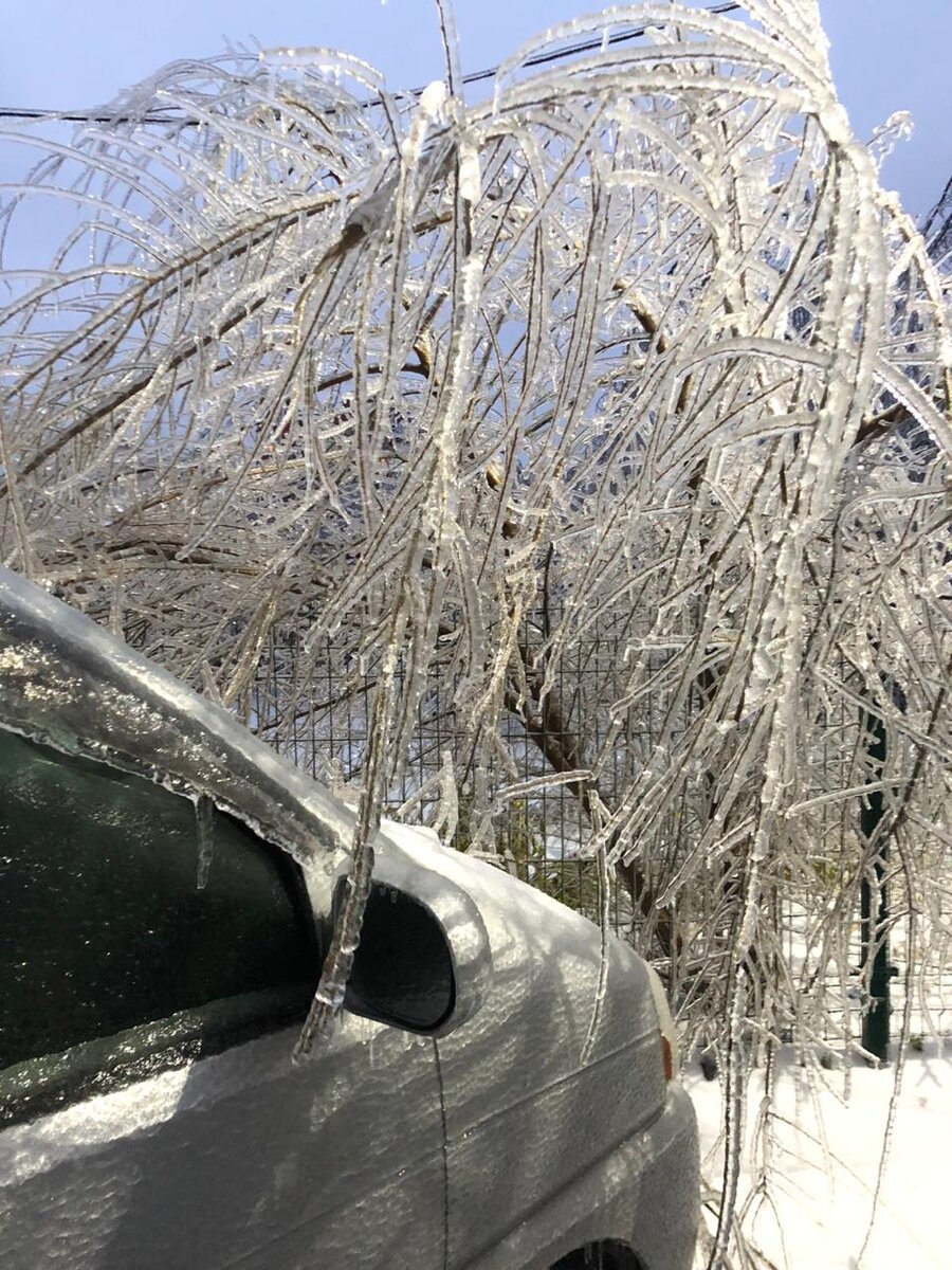 Авторское фото.