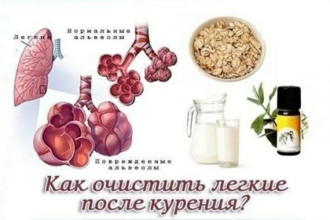 Очищенные легкие после курения. Очищение лёгких курильщика.