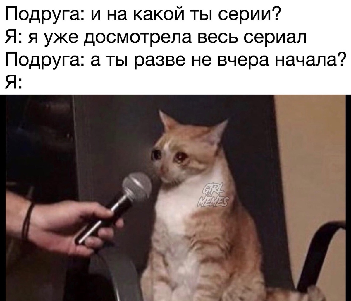 Стрелец, Близнецы, РЫБЫ, Овен, РАК, Лев