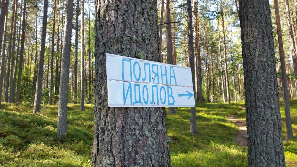 Место дня. Карта Заонежья Карелия Пегрема.