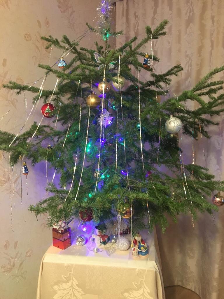 Фото автора.