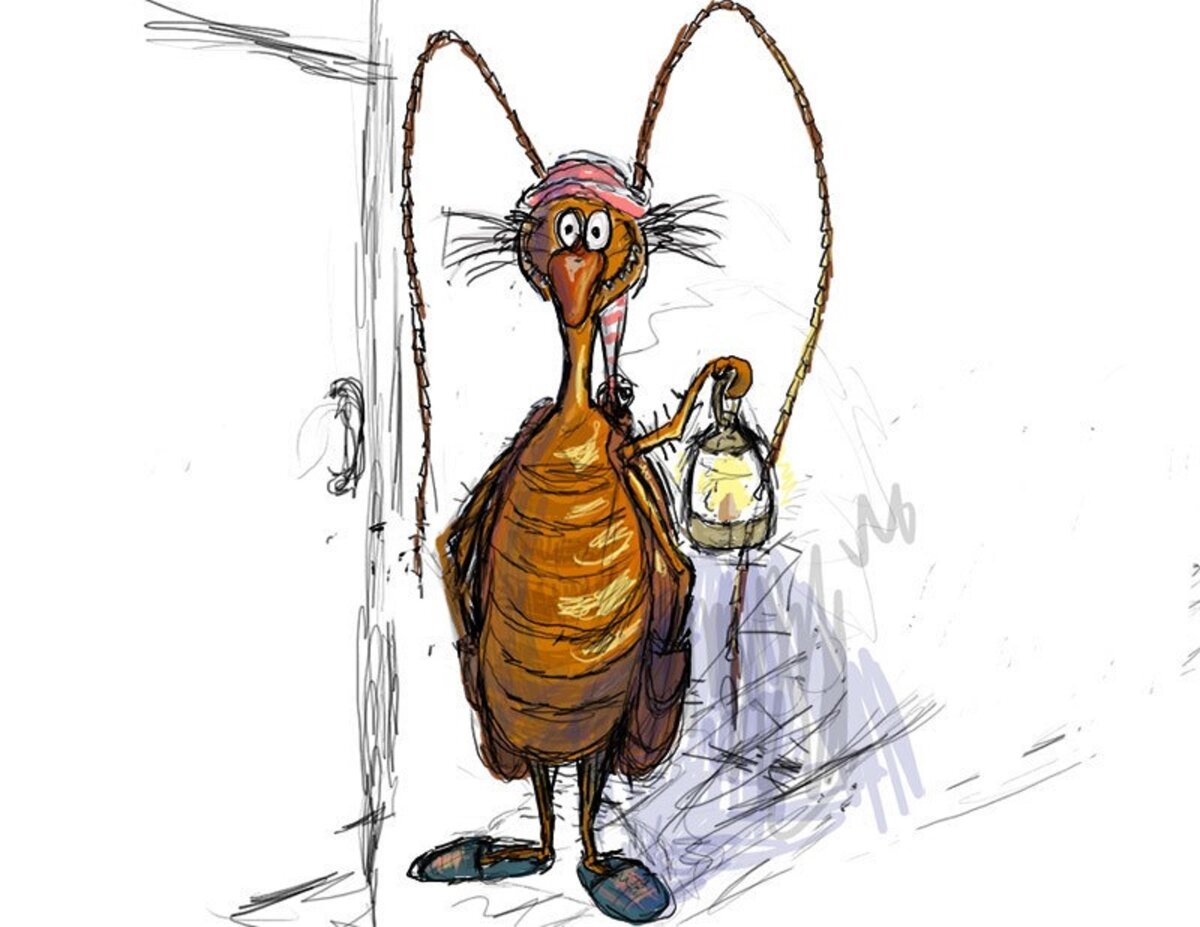 картинка с сайта киллер-клоп.рус