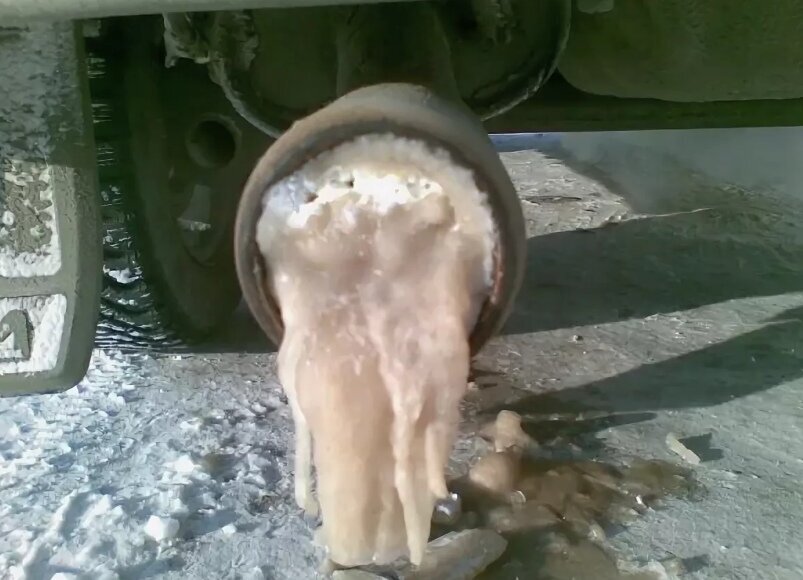 фото из интернета