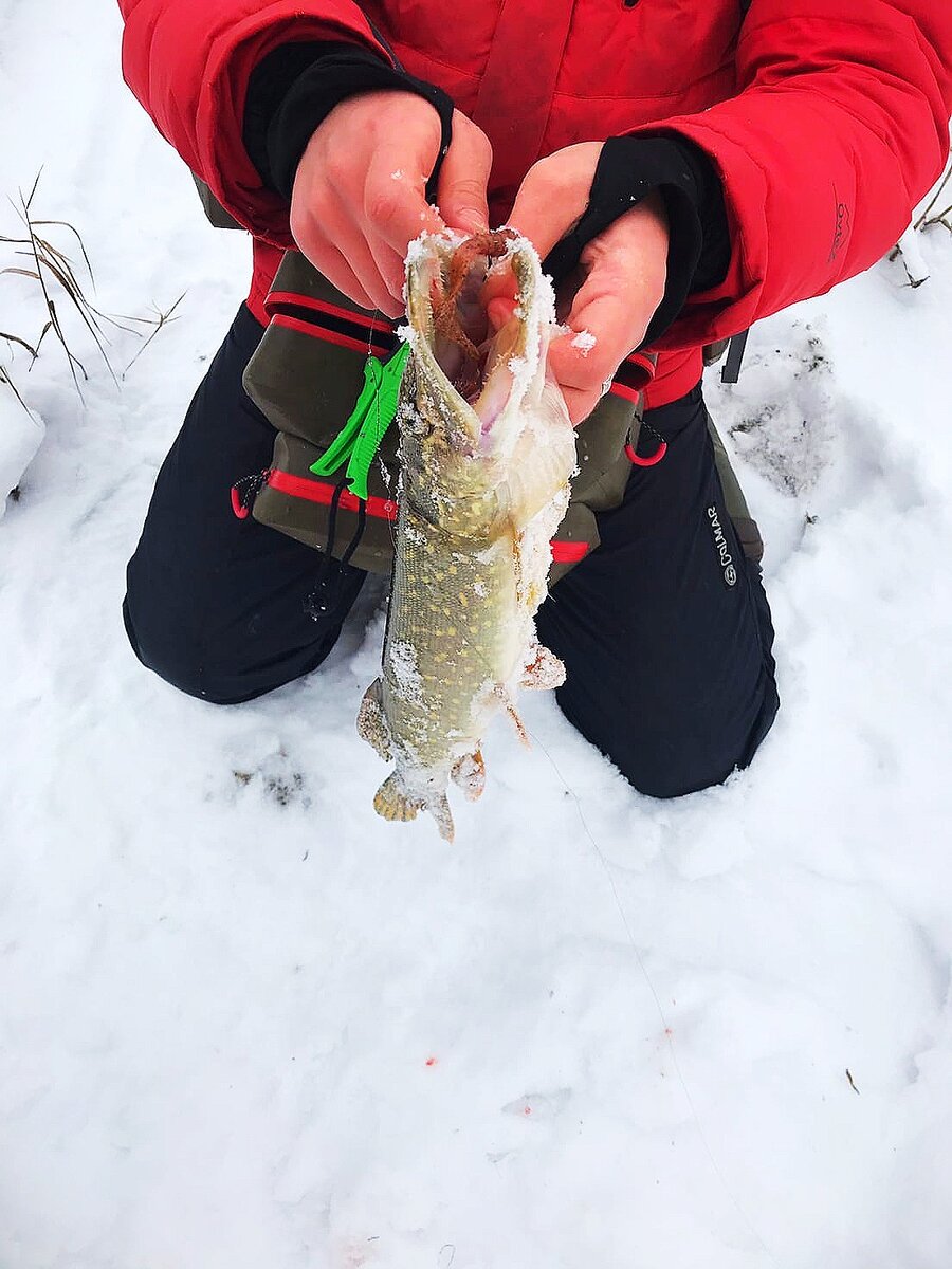 Щука. Поймана кстати на силикон - твистер!