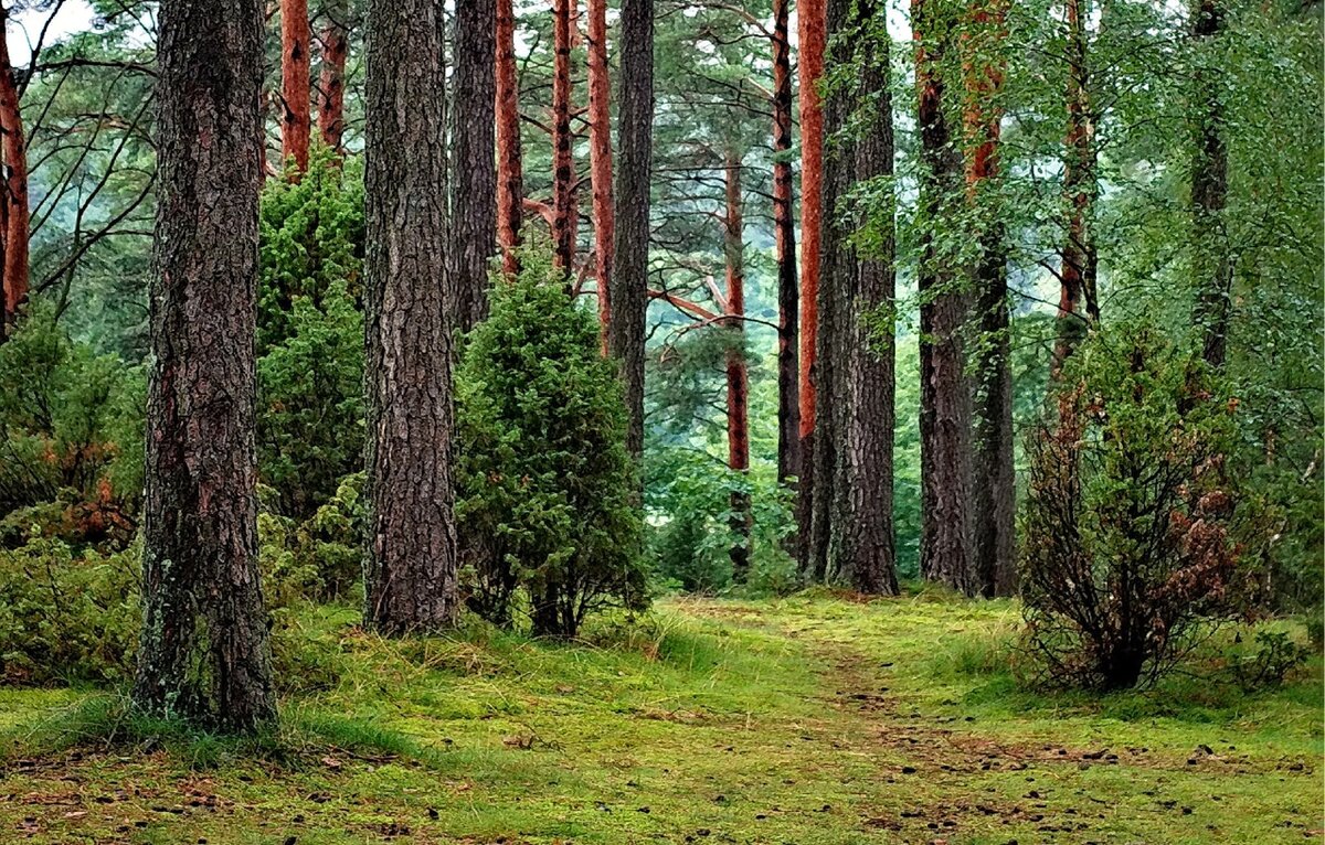Источник фото pexels.com