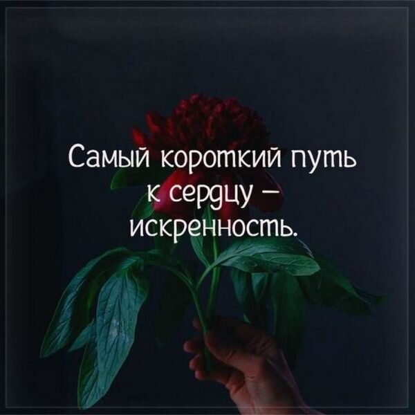 Все картинки взяты в открытых источниках