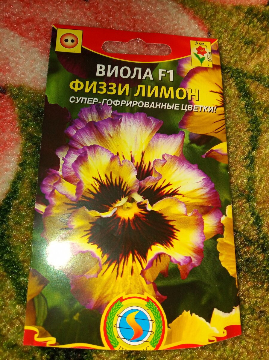 Фото из личного архива