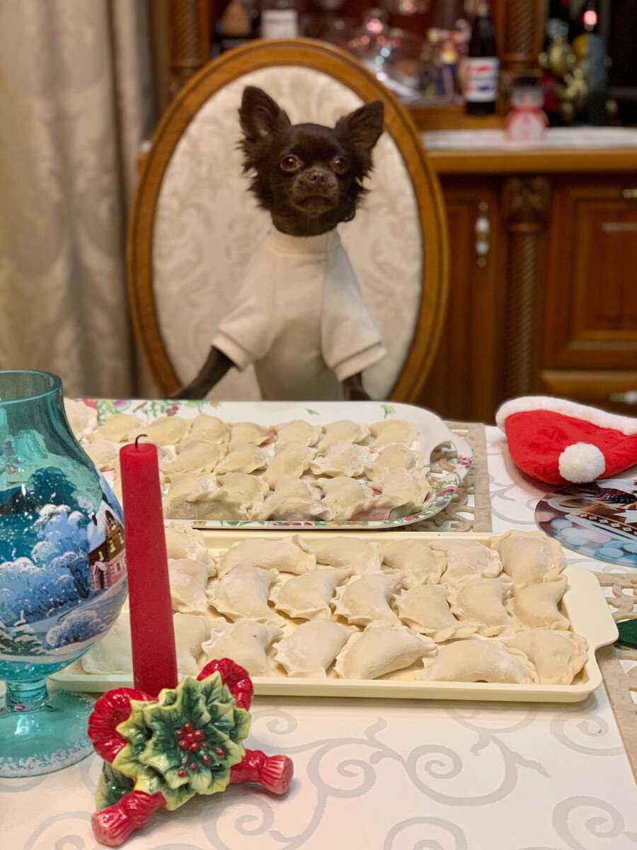 помощница