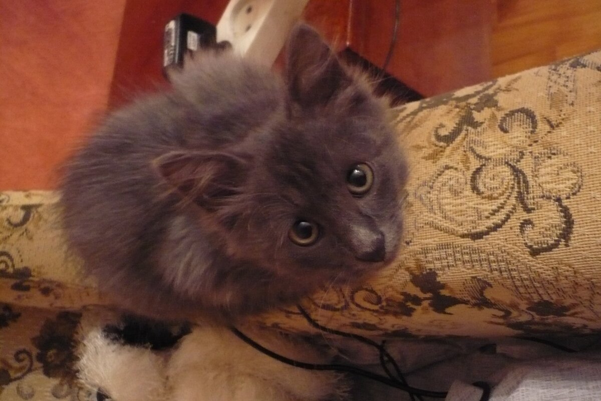 Фото из архива автора