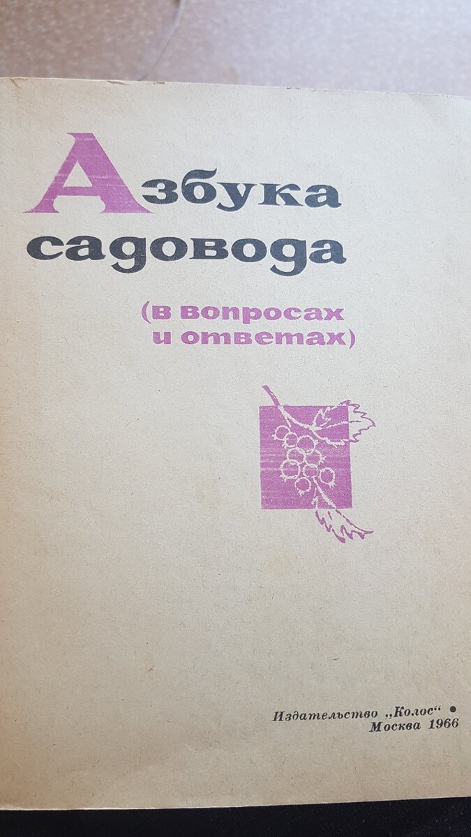 У старых книг тоже есть свой особенный запах и эта мягкость пожелтевших страниц