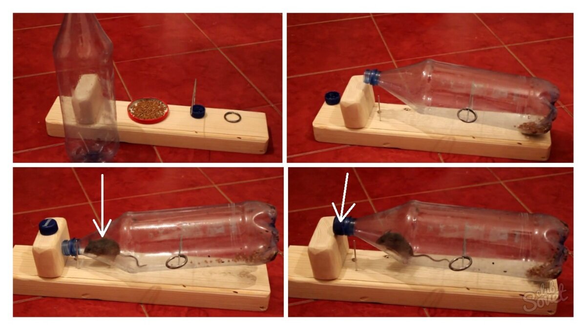 Как сделать простую мышеловку из подручных средств - Форум Магазина Мастеров