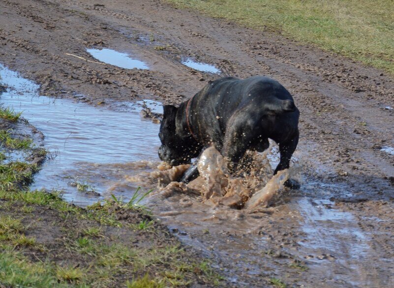 Источник berforum.ru