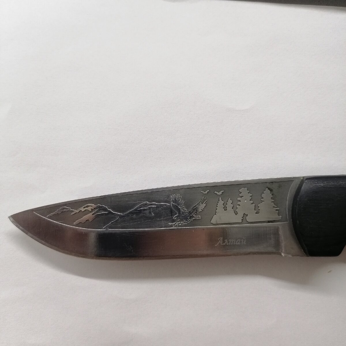 Здесь изображен некий пейзаж но вот птичку я определить не смог, кто знает прошу в комменты.