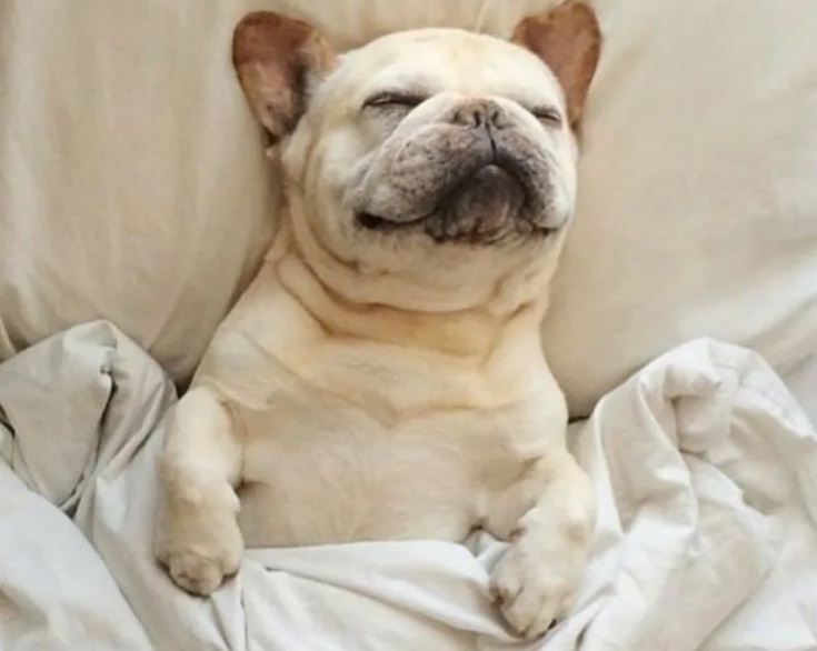 Ну эти ваши вербалити, невербалити...