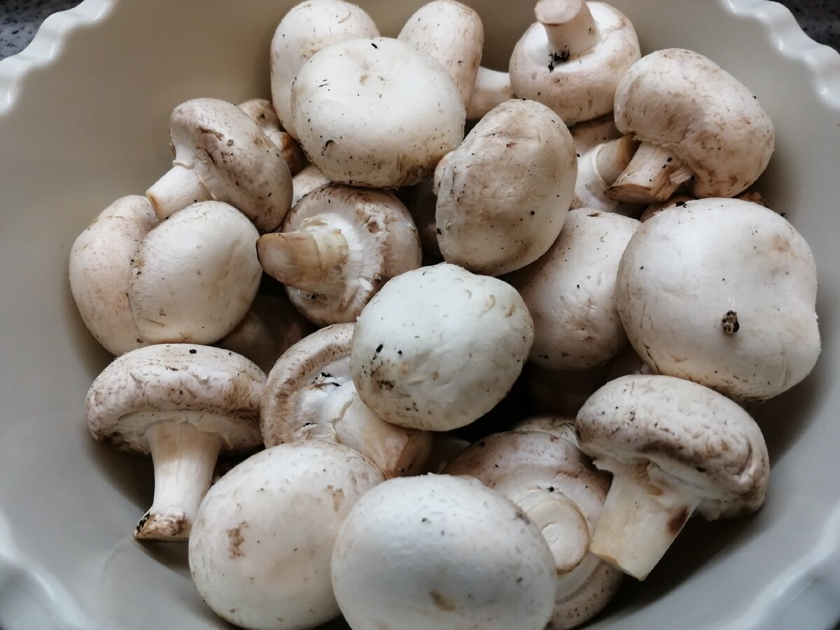 Фото сделано лично автором канала 