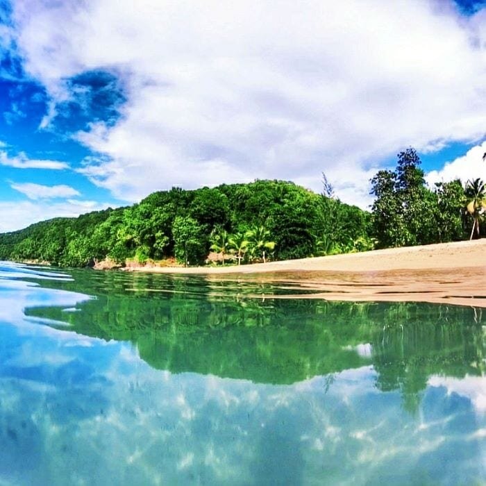 Природа Доминики