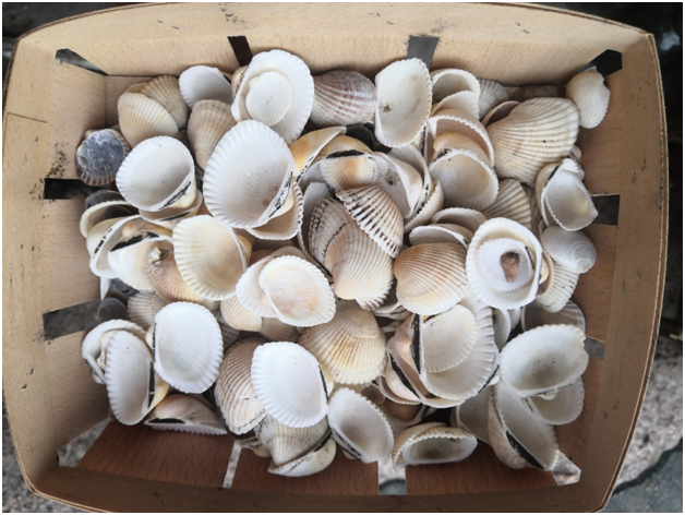 Материал для работы.