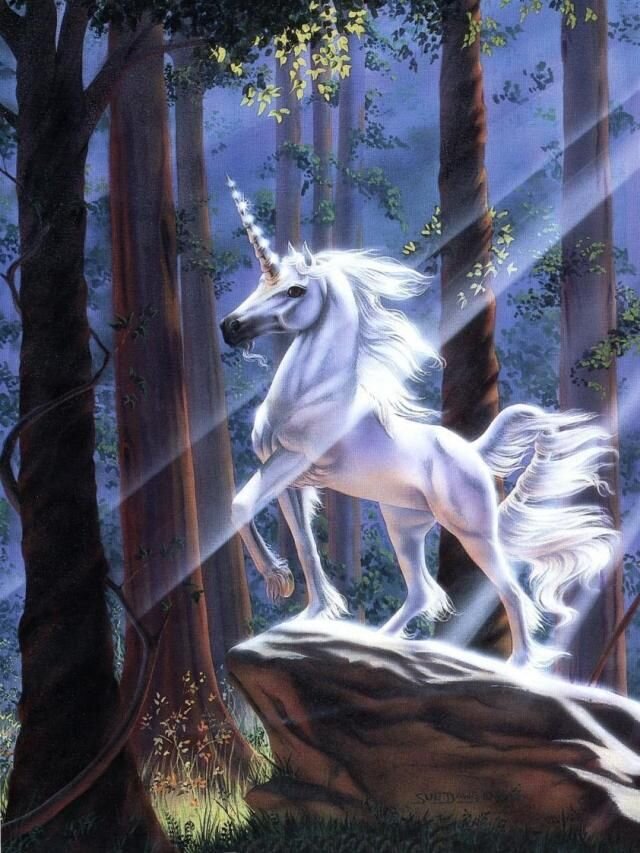 Пусть твои тревоги уносят в лес единороги картинка