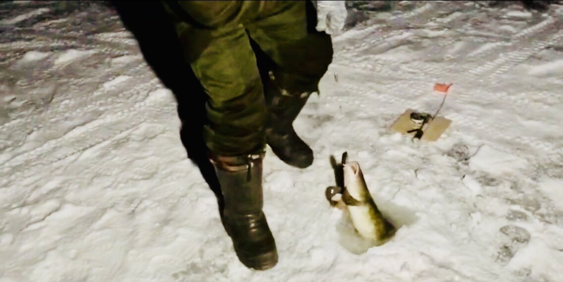 Дорогие любители рыбалки, советую посмотреть видео ловля налима и щуки зимой, оставлял жерлицы на ночь. Приятного просмотра! 
Я новичок, прошу отнестись с пониманием! 
👉 https://oke.io/Rw0LCwB9 👈 👍👍👍🔥🔥🔥