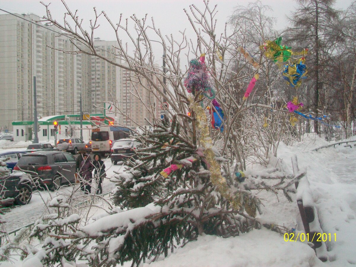 Фото автора