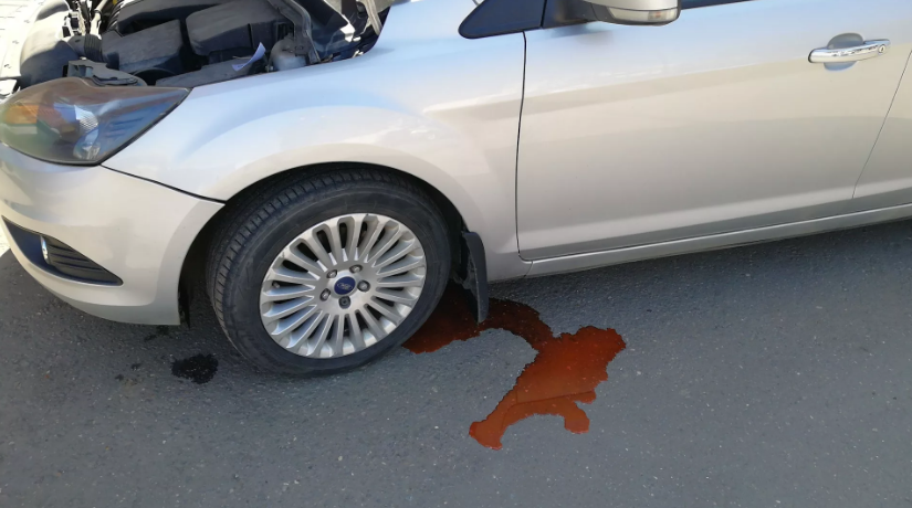 Можно ли залить воду в систему охлаждения двигателя Летом или зимой в инжекторный вариант Не все так просто