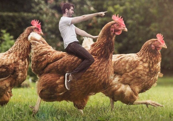 Широко известен спор между Платоном и Диогеном. "Человек, - сказал Платон, - это двуногое животное без перьев". Тогда Диоген ощипал петуха и со словами: "Вот твой человек", - поставил его перед Платоном. Пришлось Платону сделать уточнение: "Двуногое животное без перьев и имеющее плоские ногти".