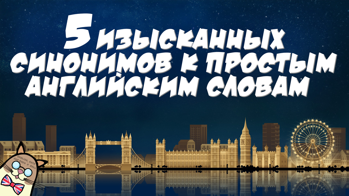 Этот милый котик сегодня будет учиться вместе с вами 😉