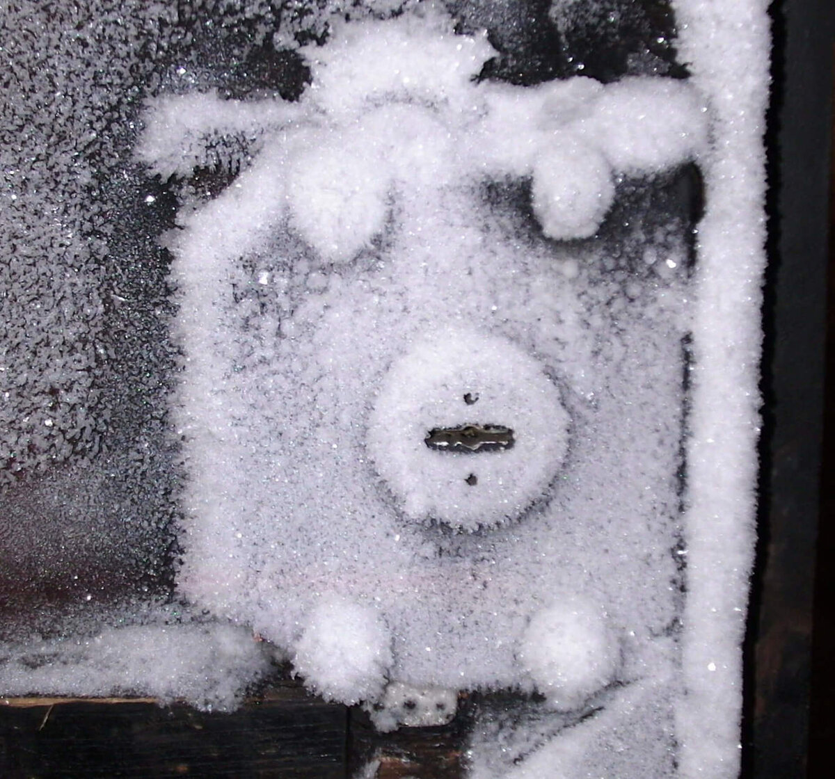 Яндекс картинки 