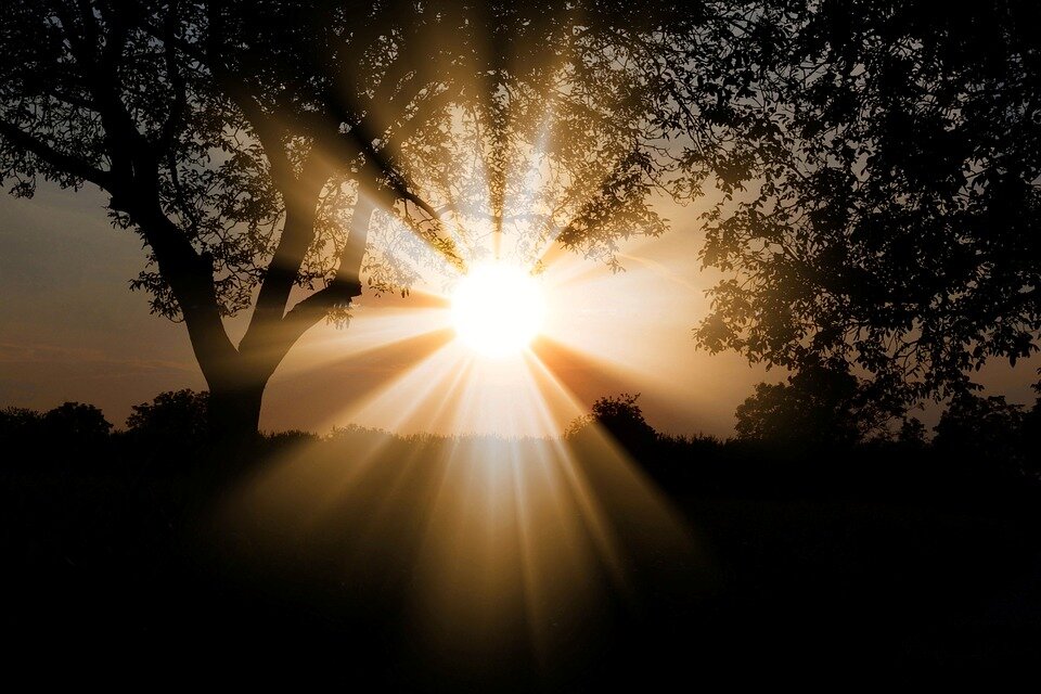 pixabay.com/