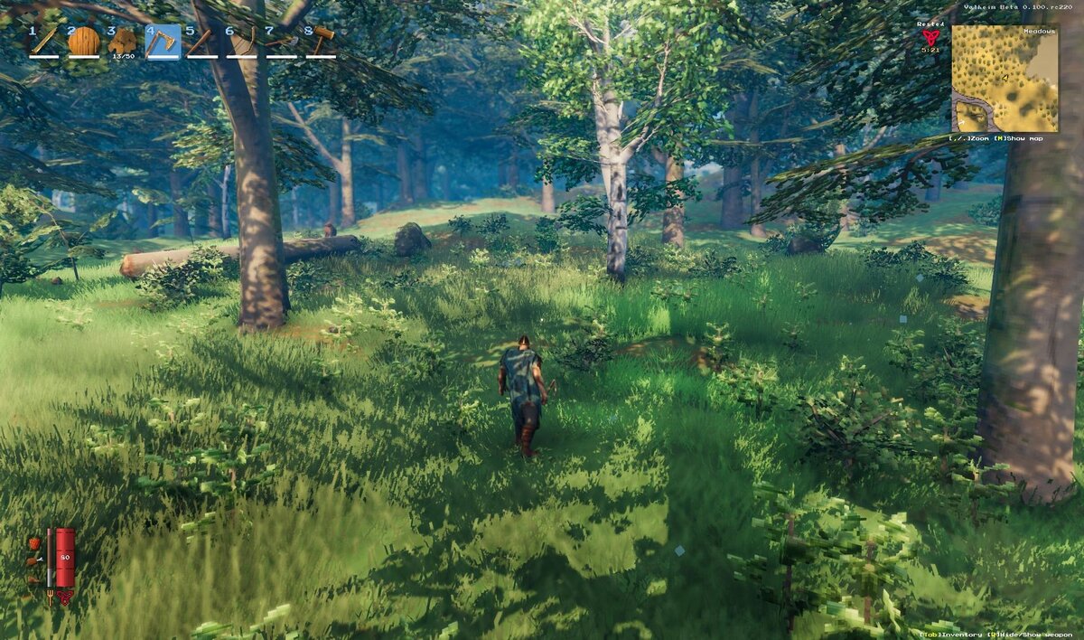 Прогулки по лесу