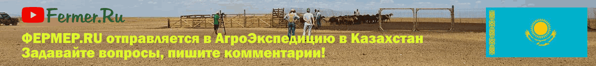 Едем в Казахстан! Fermer.ru