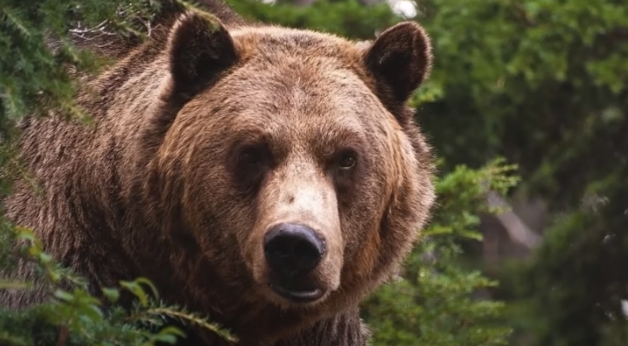 Людям бывает сложно понять друг друга.  Доброта воспринимается как слабохарактерность, а излишняя строгость как попытка унизить или подчинить себе.-5