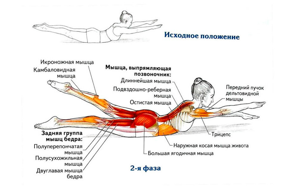 Лечение остеохондроза в домашних условиях