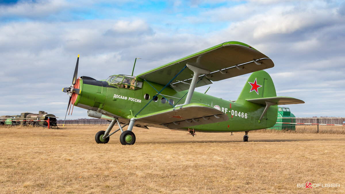 Самолет ан 2 кукурузник. Легендарный кукурузник АН-2. АН-2 польский. Кукурузник ан2 беспилотник. Володя АН 2 кукурузник