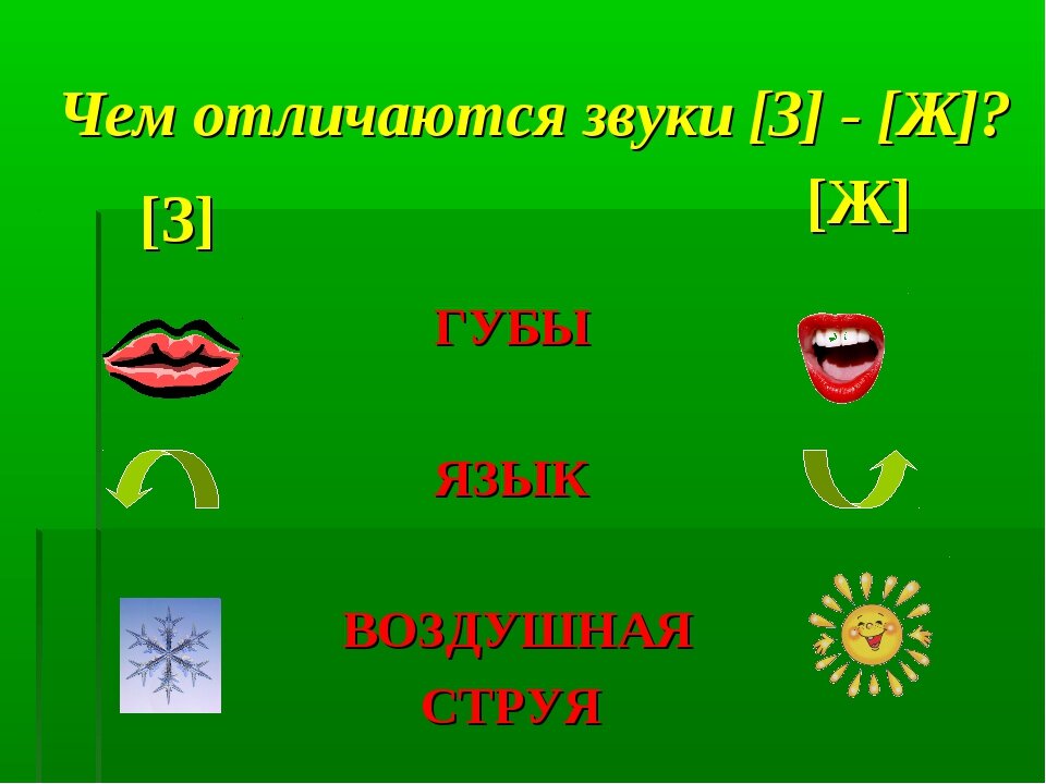 Жю ю зю. Дифференциация звуков з-ж. Различение звуков з ж. Дифференциация з-ж задания для дошкольников. Дифференциация звуков p.