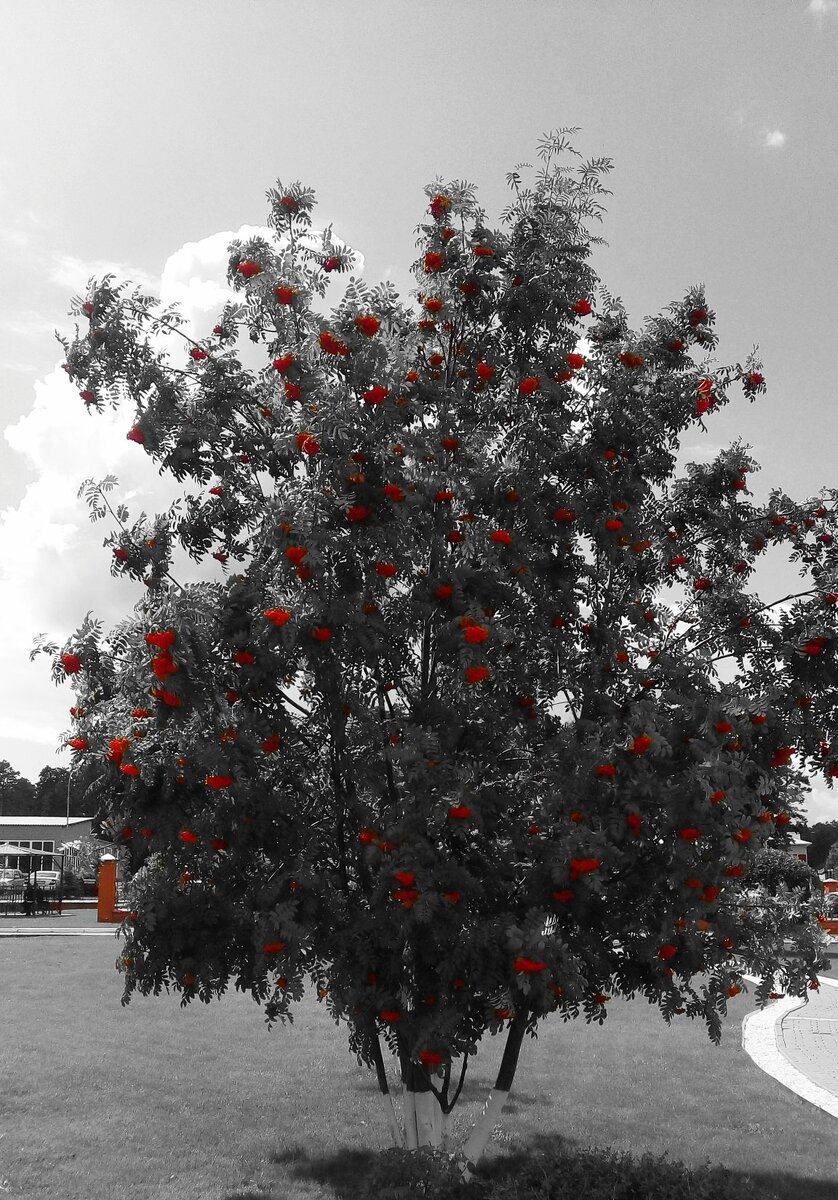 Фото автора. 