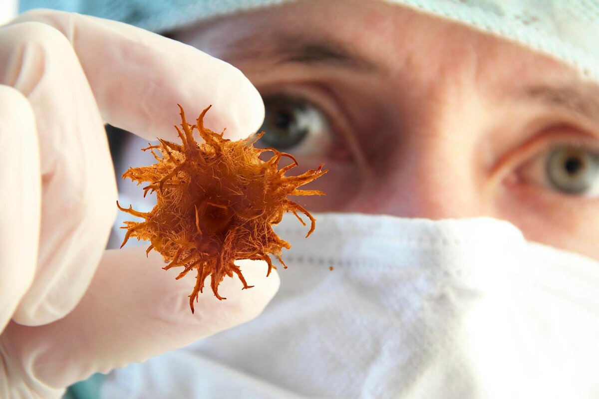 вот она родимая