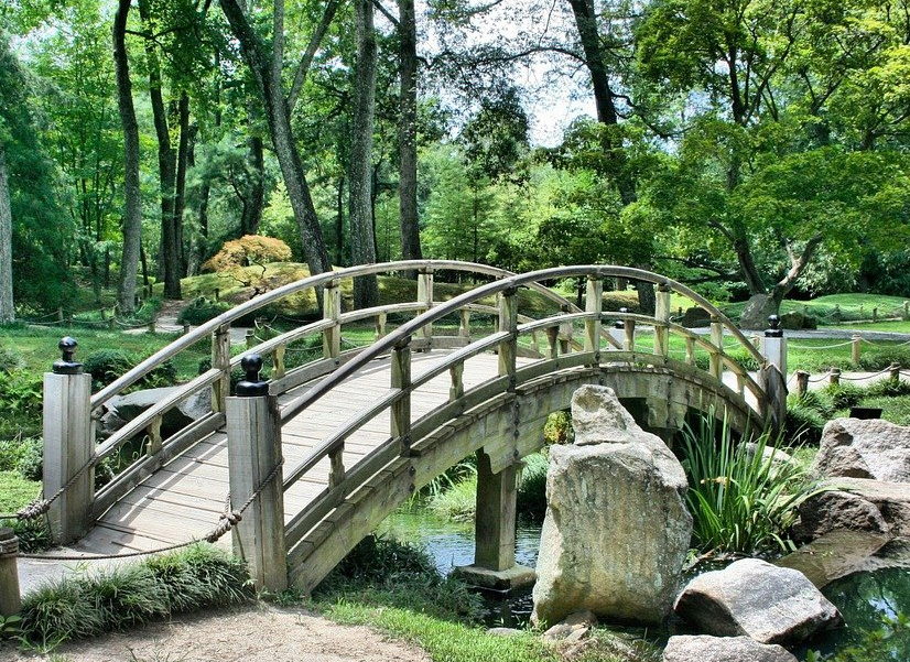 фото взято из открытого доступа