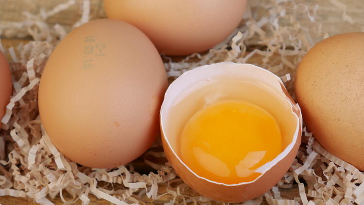 Почему мутные белки яиц. Яичный белок. Заменитель яиц. Веганский заменитель яиц. Желток страусиного яйца.