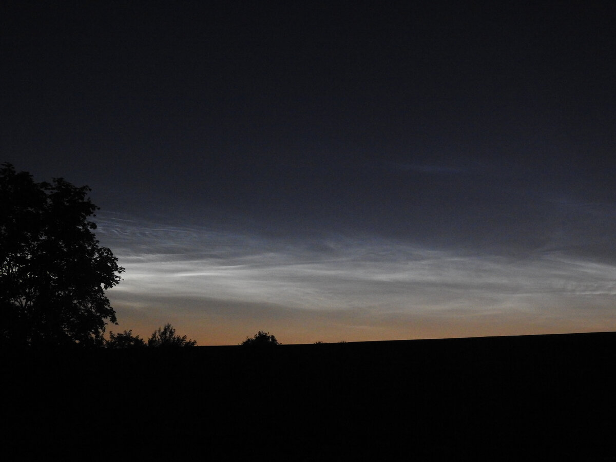Серебристые облака, которые я наблюдал в Ленинградской области в июле 2020 года. Фото моё.