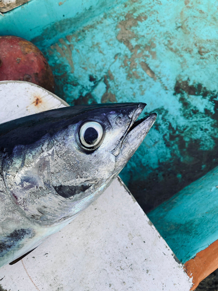 Источник фото: Unsplash.com