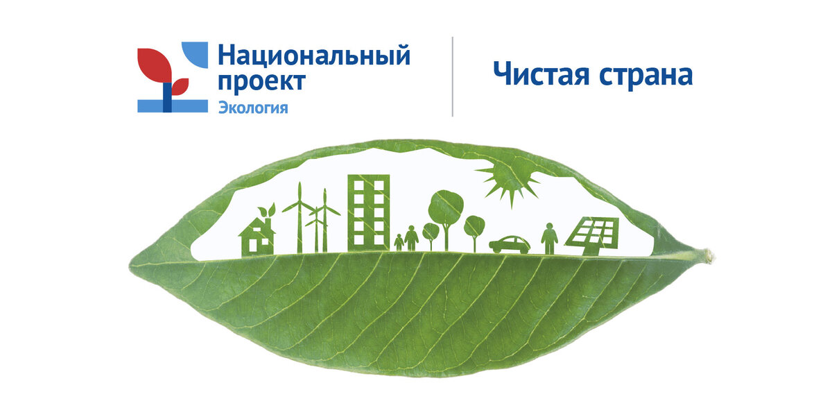 Проект чистый воздух 12 городов