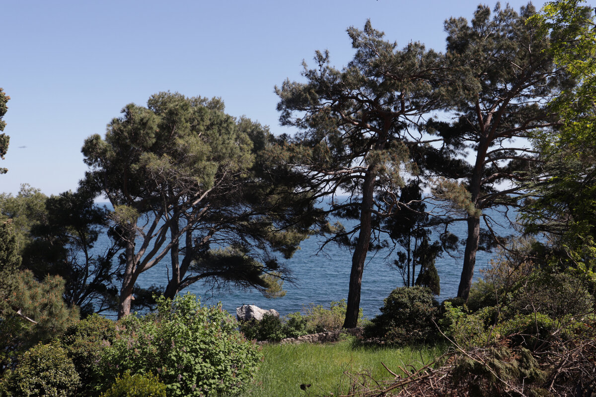 Симеиз, в районе бывшего санатория Семашко