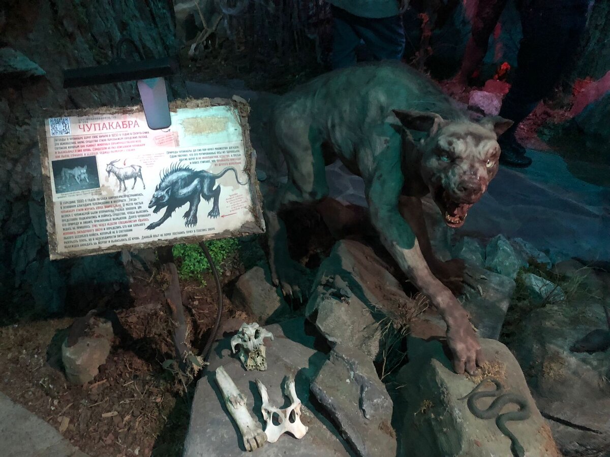 Чупакабра, вселяющая страх и ужас