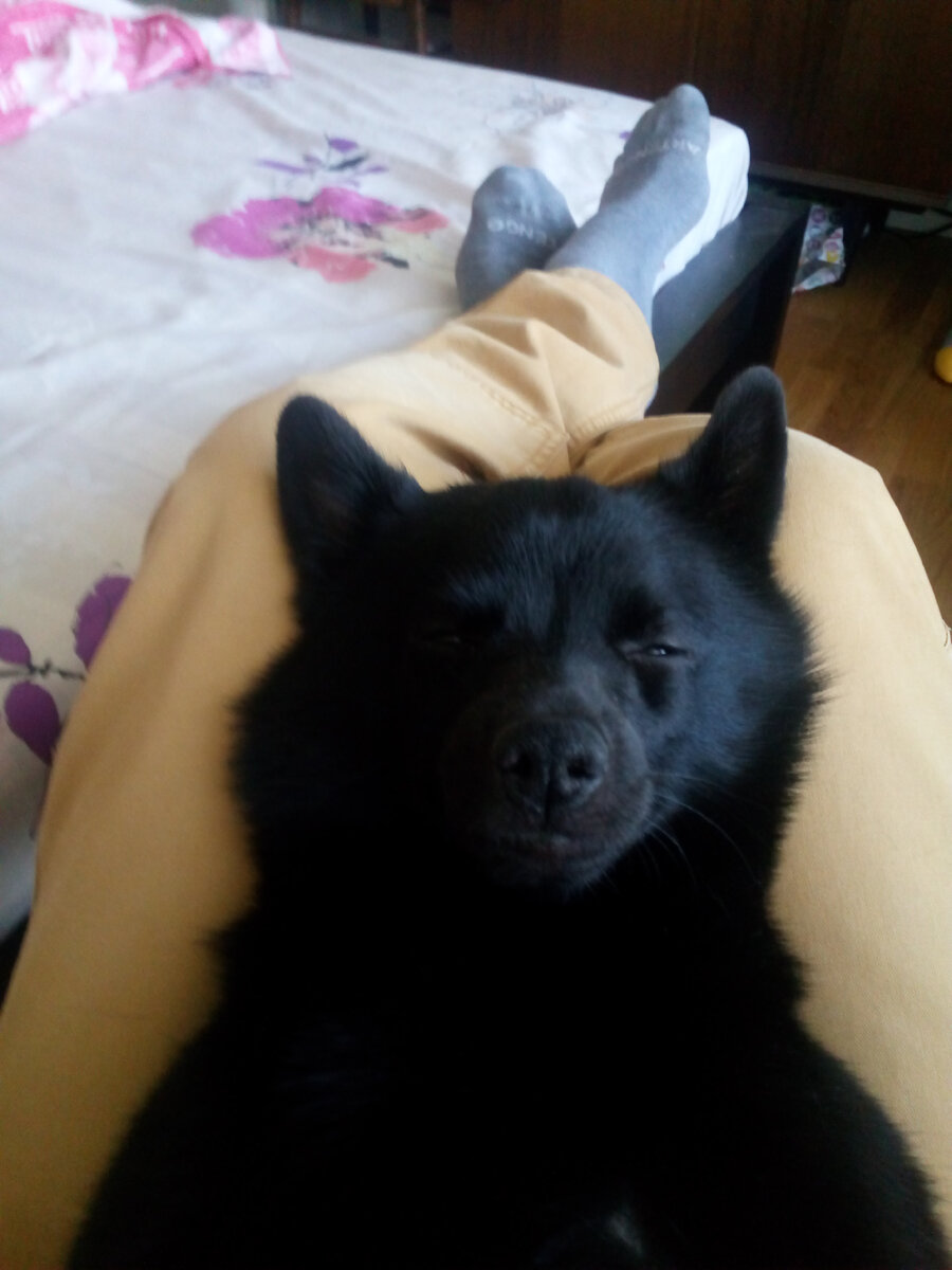 Хорошооооо....