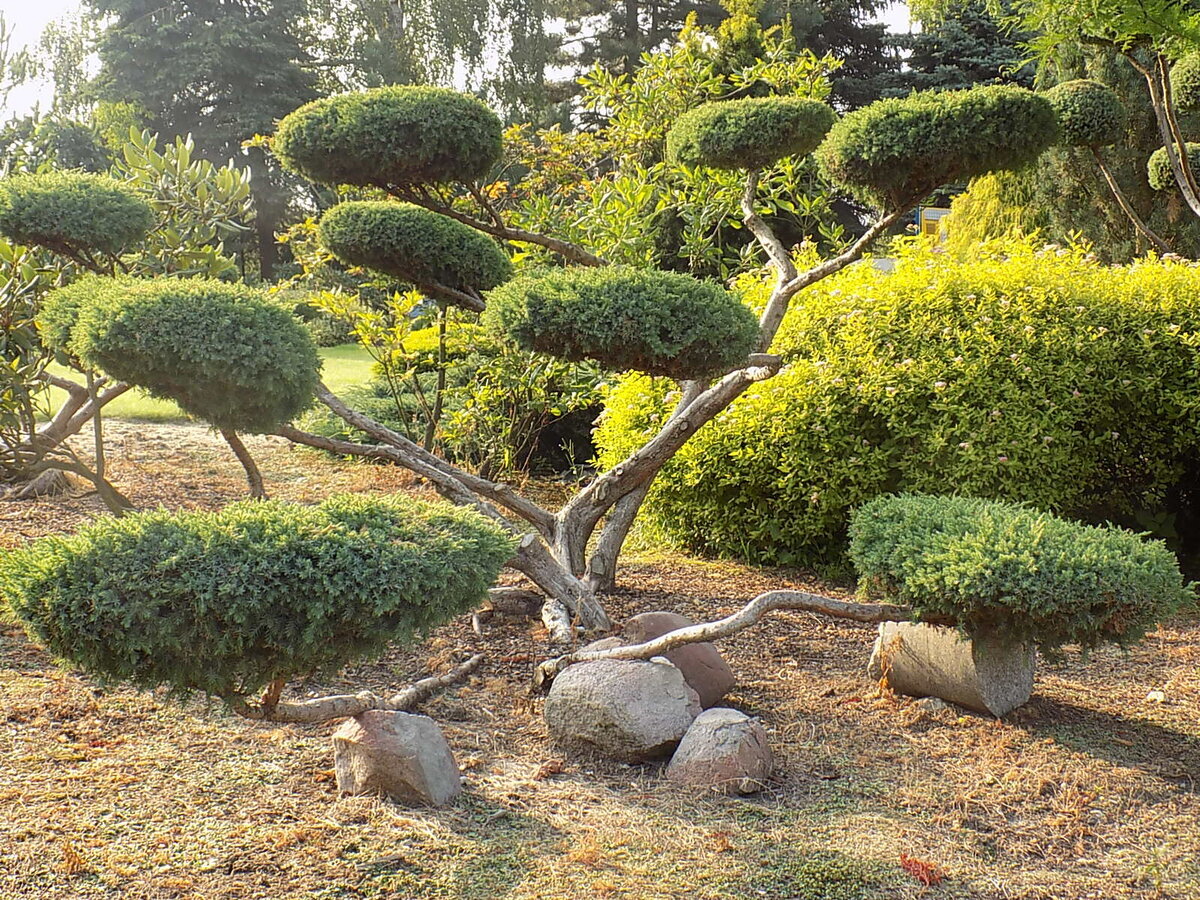 Фото с сайта mobillegends.net