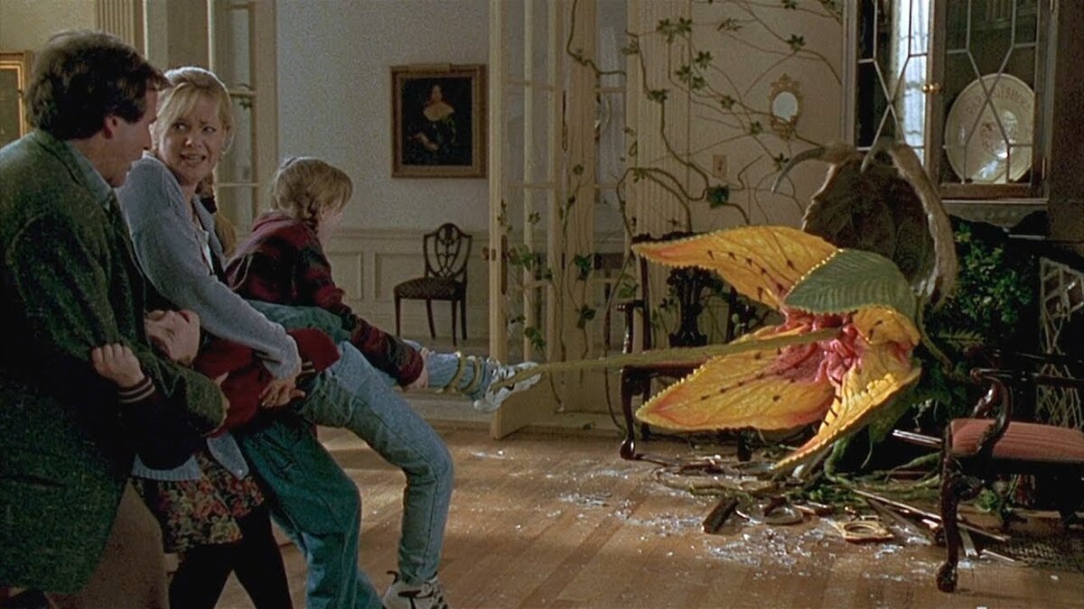 Кадр из фильма "Джуманджи", 1995 г.