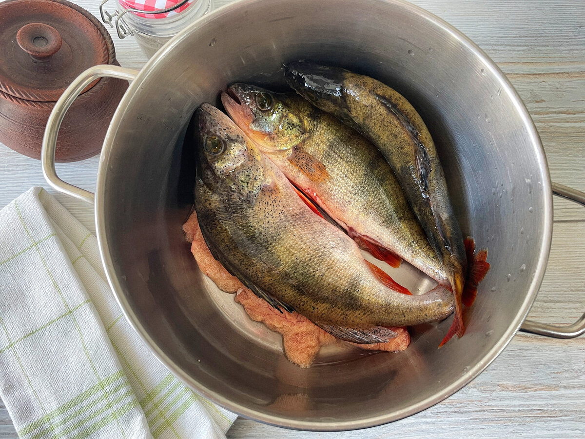 Из какой рыбы в советское время считалось, что получается самая вкусная  уха, а из какой ее не варят? | Кухня СССР с Еленой | Дзен