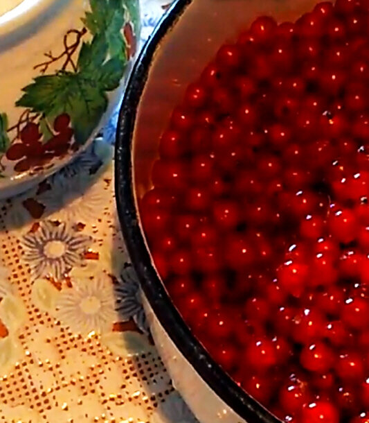 Полезная пастила Ингредиенты. Фото автора