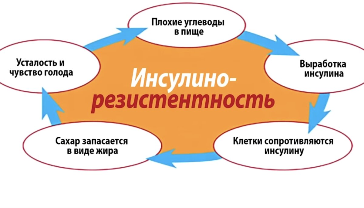 Инсулинорезистентность- это когда поджелудочная производит инсулина больше, чем надо, а рецепторы его уже не принимают.
